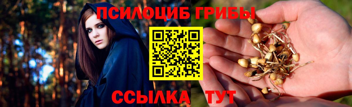 Псилоцибиновые грибы прущие грибы Рузаевка